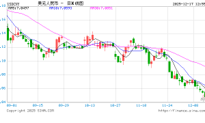 2025年人民币汇率市场回顾及2026年展望