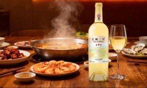 长城旗下百元价格带干白密集上新，精准撬动大众酒饮消费