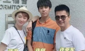 何晴去世更多细节公开，被曝手术后智商像儿童，许亚军被骂薄情！