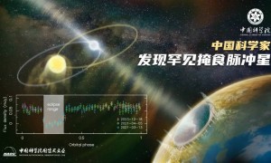 罕见！“中国天眼”有重要发现