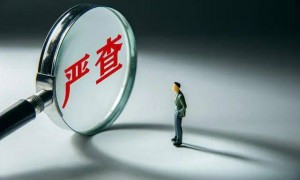 “85后”女科员骗补377万元，其中50余万用于美容、买衣服等 获刑13年