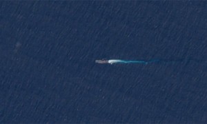 “美国已选定委内瑞拉打击目标,含军方控制的港口和机场”